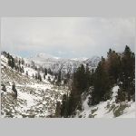 IMG_0262FZ.jpg