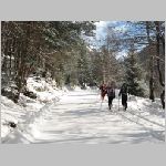 IMG_0263GA.jpg
